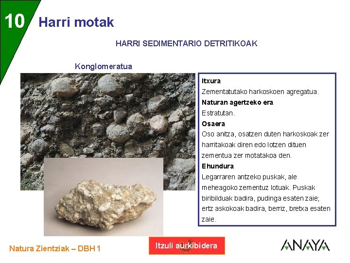 UNIDAD 10 3 Harri motak HARRI SEDIMENTARIO DETRITIKOAK Konglomeratua Itxura Zementatutako harkoskoen agregatua. Naturan