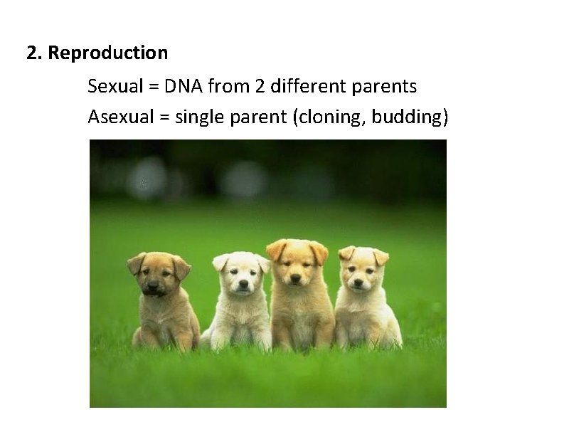 2. Reproduction Sexual = DNA from 2 different parents Asexual = single parent (cloning,