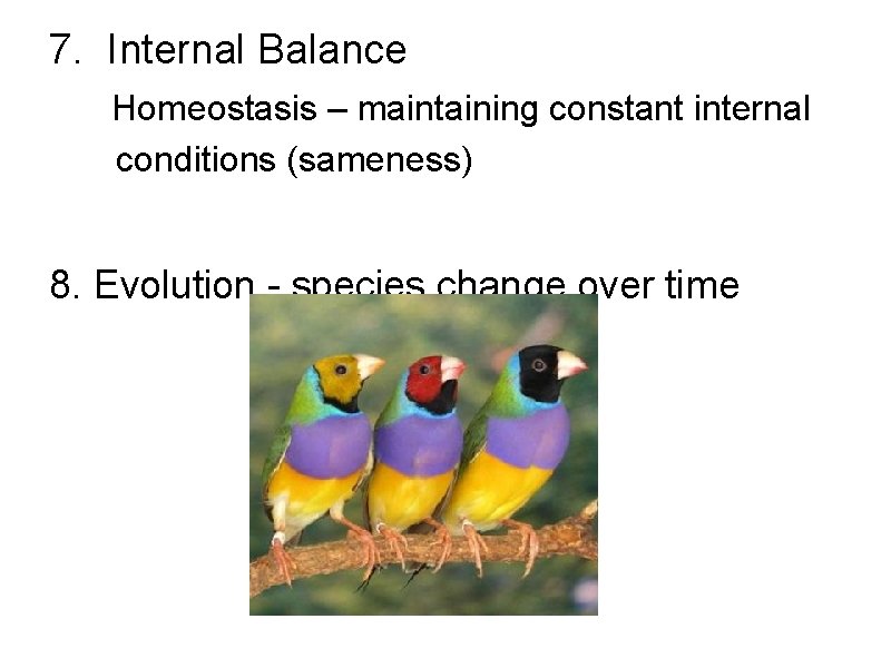 7. Internal Balance Homeostasis – maintaining constant internal conditions (sameness) 8. Evolution - species