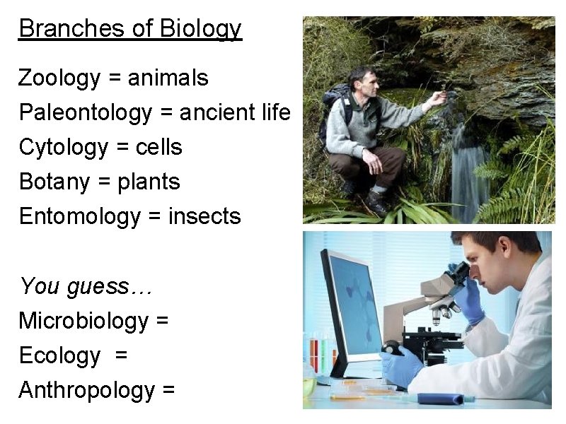 Branches of Biology Zoology = animals Paleontology = ancient life Cytology = cells Botany