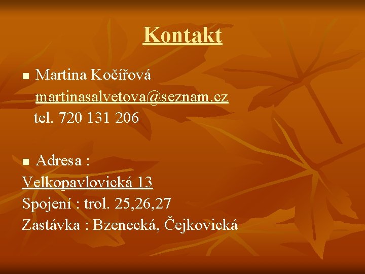 Kontakt n Martina Kočířová martinasalvetova@seznam. cz tel. 720 131 206 Adresa : Velkopavlovická 13