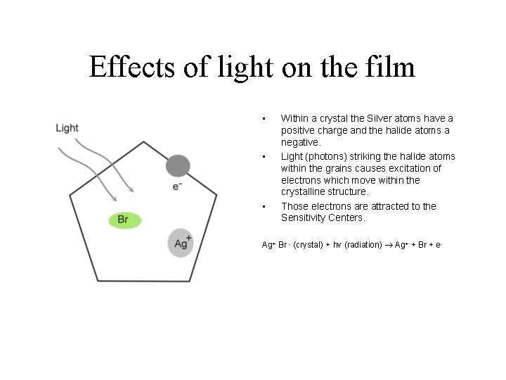 Effects of light on the film • • • Within a crystal the Silver