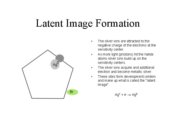 Latent Image Formation • • The silver ions are attracted to the negative charge