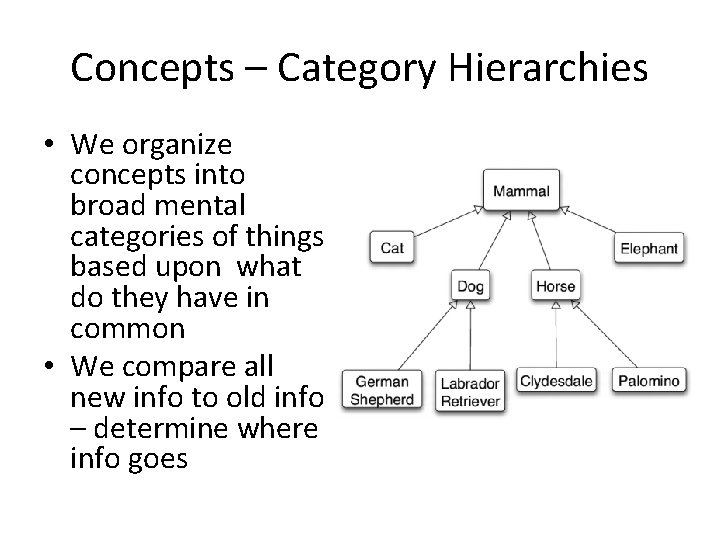 Concepts – Category Hierarchies • We organize concepts into broad mental categories of things