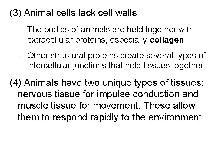 (3) Animal cells lack cell walls – The bodies of animals are held together