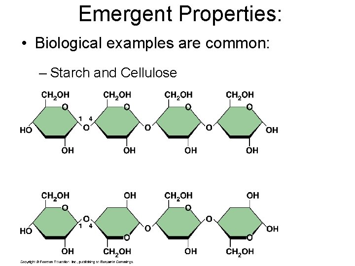 Emergent Properties: • Biological examples are common: – Starch and Cellulose 