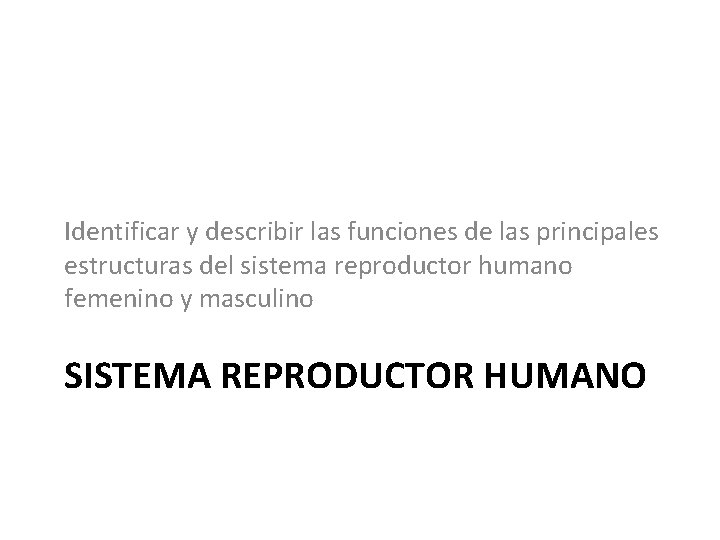 Identificar y describir las funciones de las principales estructuras del sistema reproductor humano femenino