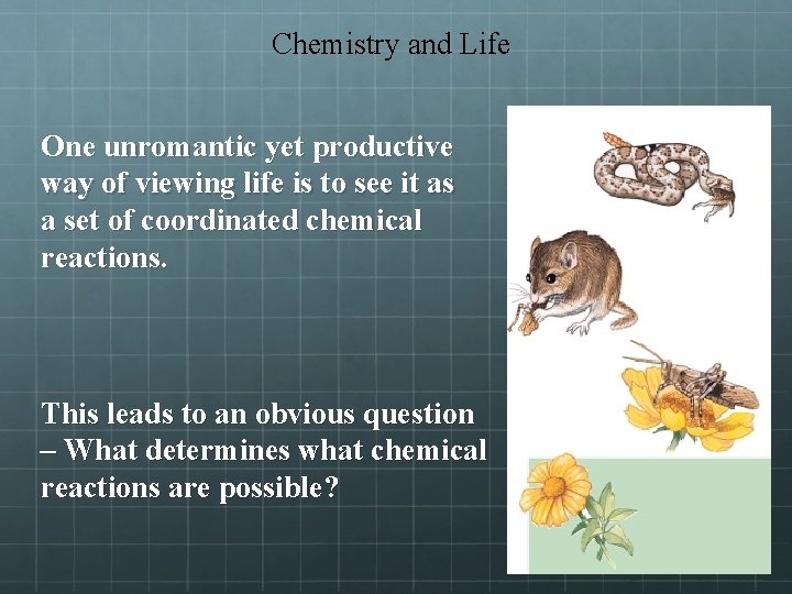 Chemistry and Life One unromantic yet productive way of viewing life is to see Chemistry and Life One unromantic yet productive way of viewing life is to see