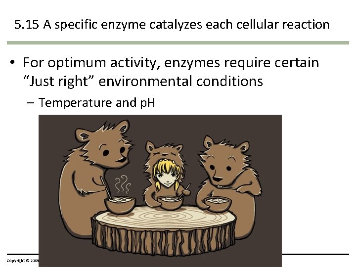 5. 15 A specific enzyme catalyzes each cellular reaction • For optimum activity, enzymes 5. 15 A specific enzyme catalyzes each cellular reaction • For optimum activity, enzymes
