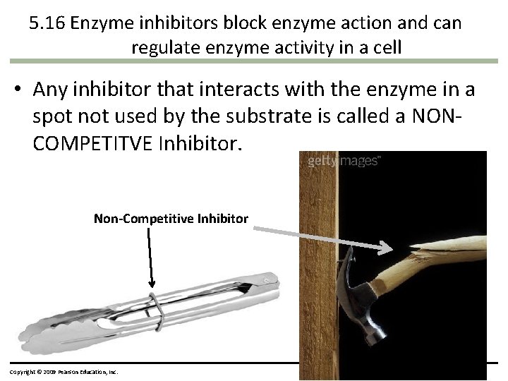 5. 16 Enzyme inhibitors block enzyme action and can regulate enzyme activity in a 5. 16 Enzyme inhibitors block enzyme action and can regulate enzyme activity in a