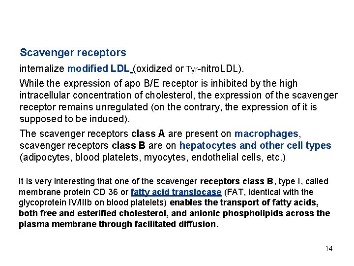 Scavenger receptors internalize modified LDL (oxidized or Tyr-nitro. LDL). While the expression of apo