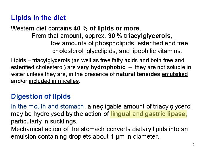 Lipids in the diet Western diet contains 40 % of lipids or more. From