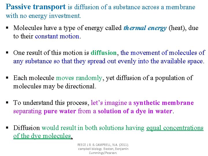Passive transport is diffusion of a substance across a membrane with no energy investment.