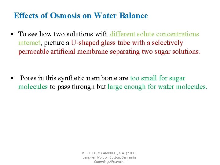 Effects of Osmosis on Water Balance § To see how two solutions with different