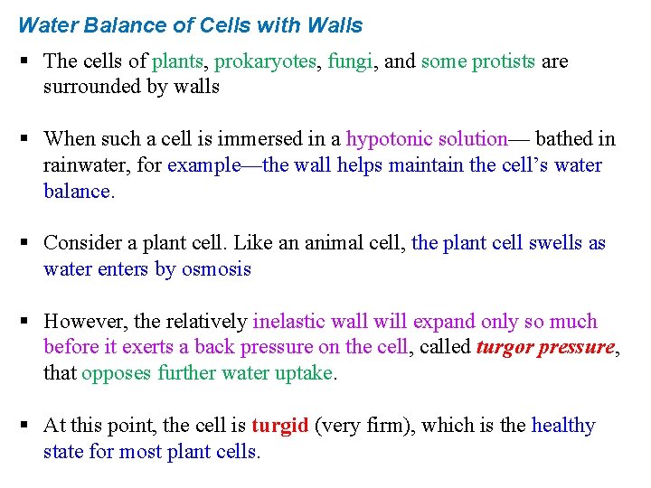 Water Balance of Cells with Walls § The cells of plants, prokaryotes, fungi, and