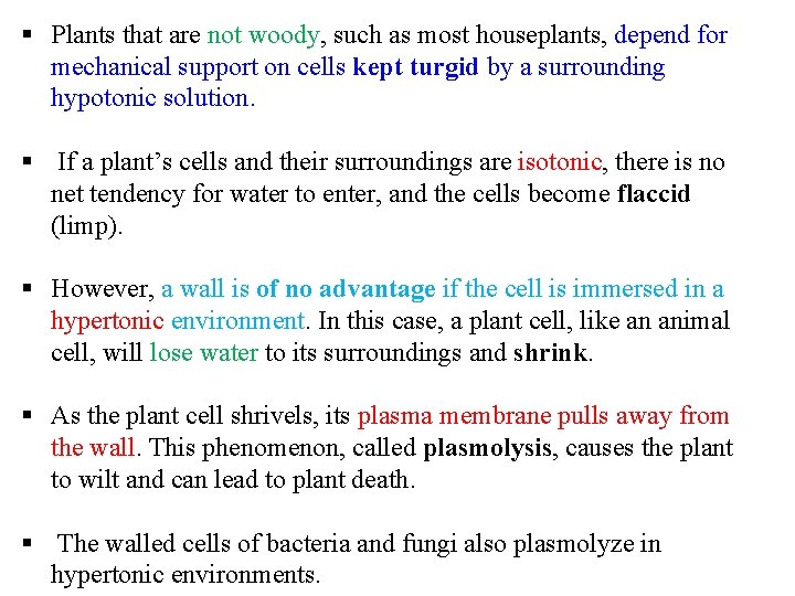 § Plants that are not woody, such as most houseplants, depend for mechanical support