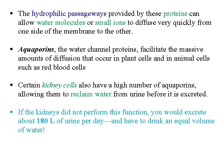 § The hydrophilic passageways provided by these proteins can allow water molecules or small
