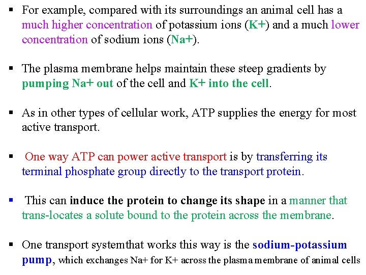§ For example, compared with its surroundings an animal cell has a much higher