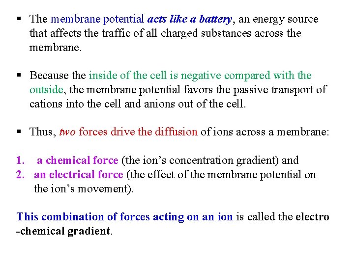 § The membrane potential acts like a battery, an energy source that affects the
