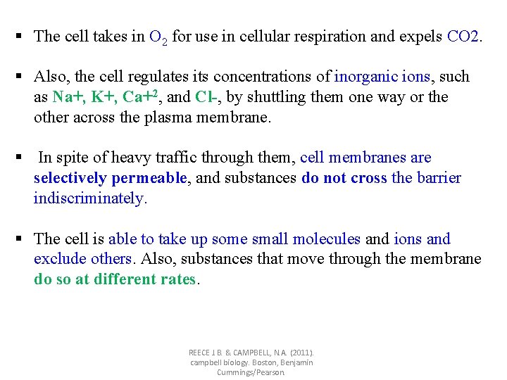 § The cell takes in O 2 for use in cellular respiration and expels