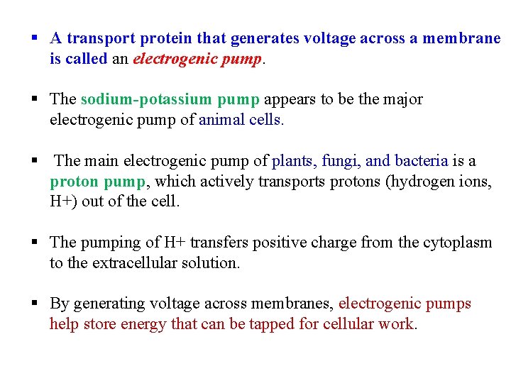 § A transport protein that generates voltage across a membrane is called an electrogenic