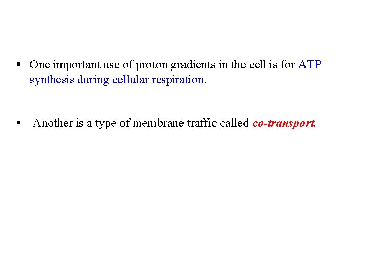 § One important use of proton gradients in the cell is for ATP synthesis