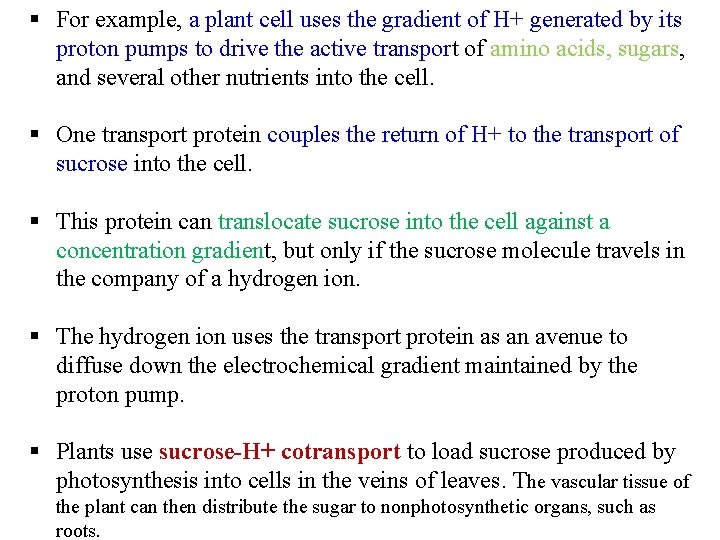 § For example, a plant cell uses the gradient of H+ generated by its