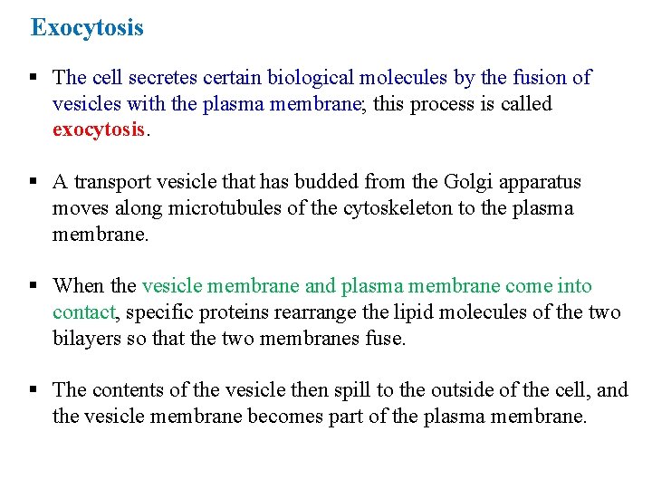 Exocytosis § The cell secretes certain biological molecules by the fusion of vesicles with