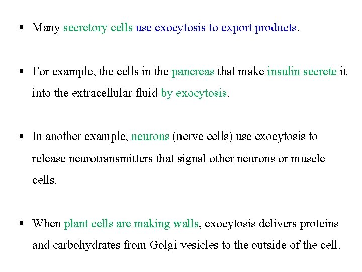 § Many secretory cells use exocytosis to export products. § For example, the cells