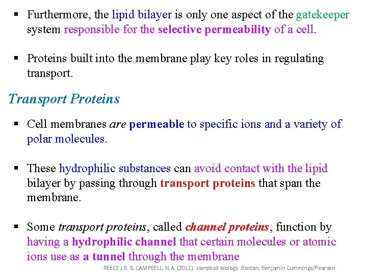§ Furthermore, the lipid bilayer is only one aspect of the gatekeeper system responsible
