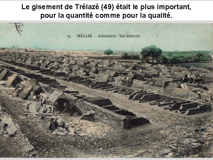 Le gisement de Trélazé (49) était le plus important, pour la quantité comme pour