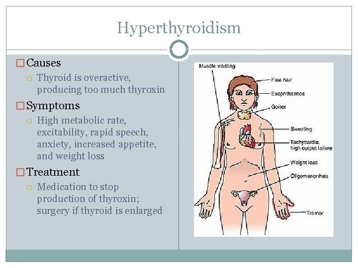 Hyperthyroidism � Causes Thyroid is overactive, producing too much thyroxin � Symptoms High metabolic