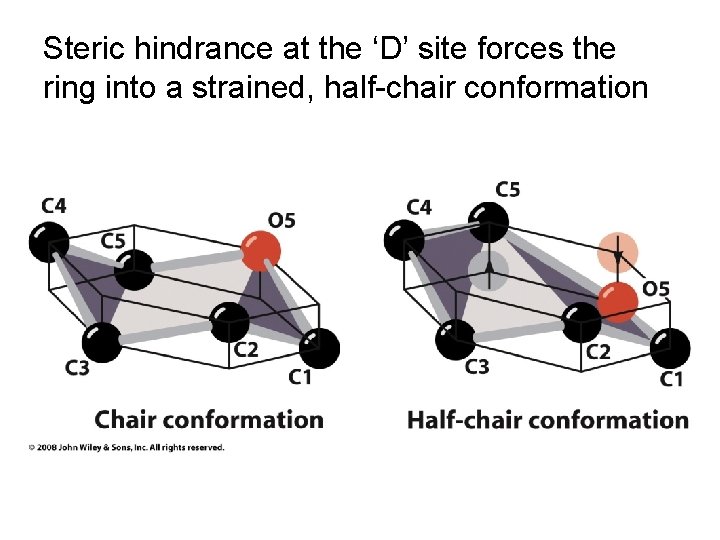 Steric hindrance at the ‘D’ site forces the ring into a strained, half-chair conformation