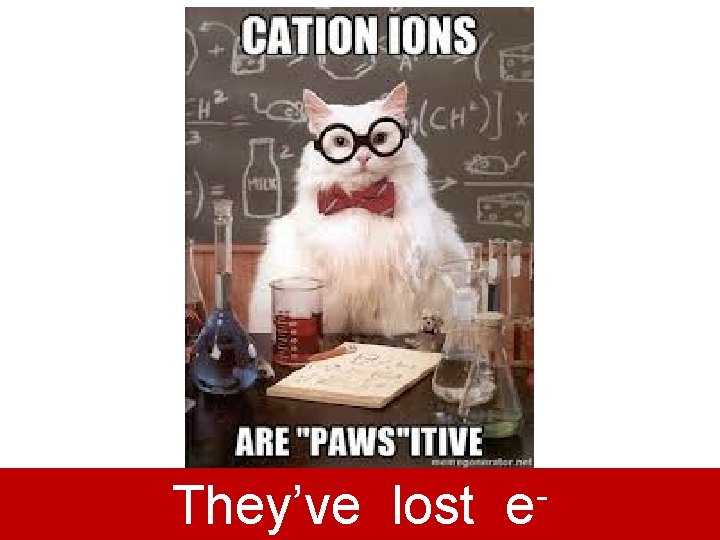 They’ve lost e 