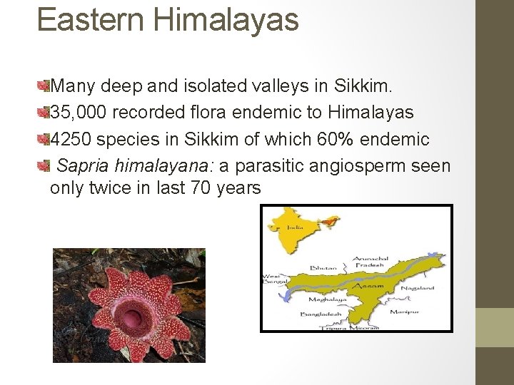 Eastern Himalayas Many deep and isolated valleys in Sikkim. 35, 000 recorded flora endemic