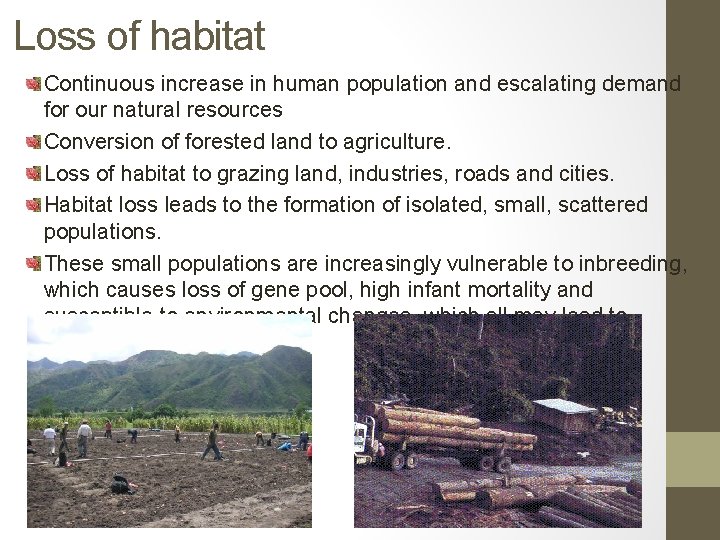 Loss of habitat Continuous increase in human population and escalating demand for our natural