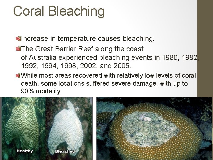 Coral Bleaching Increase in temperature causes bleaching. The Great Barrier Reef along the coast