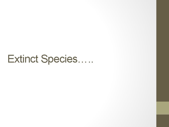 Extinct Species…. . 