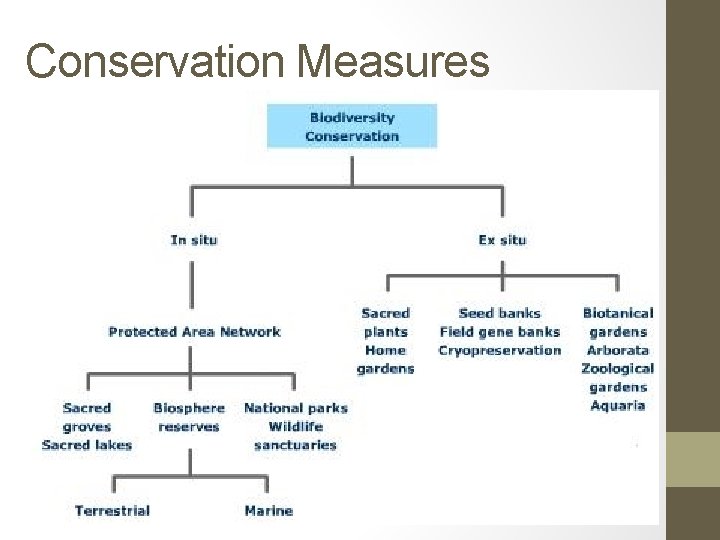 Conservation Measures 