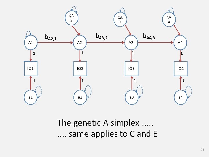 The genetic A simplex. . same applies to C and E 25 