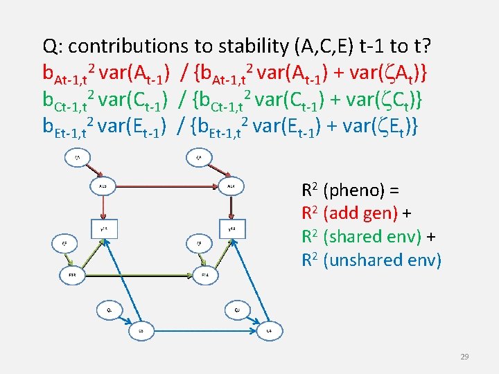 Q: contributions to stability (A, C, E) t-1 to t? b. At-1, t 2