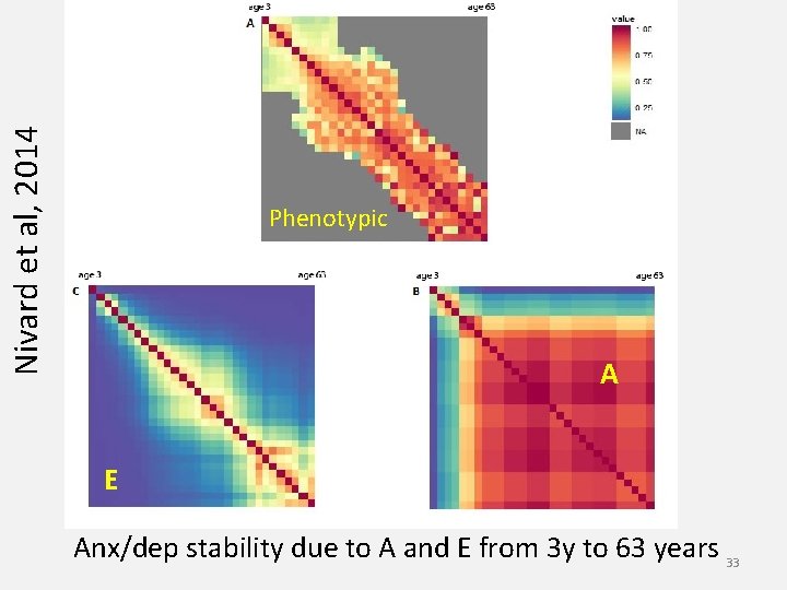 Nivard et al, 2014 Phenotypic A E Anx/dep stability due to A and E