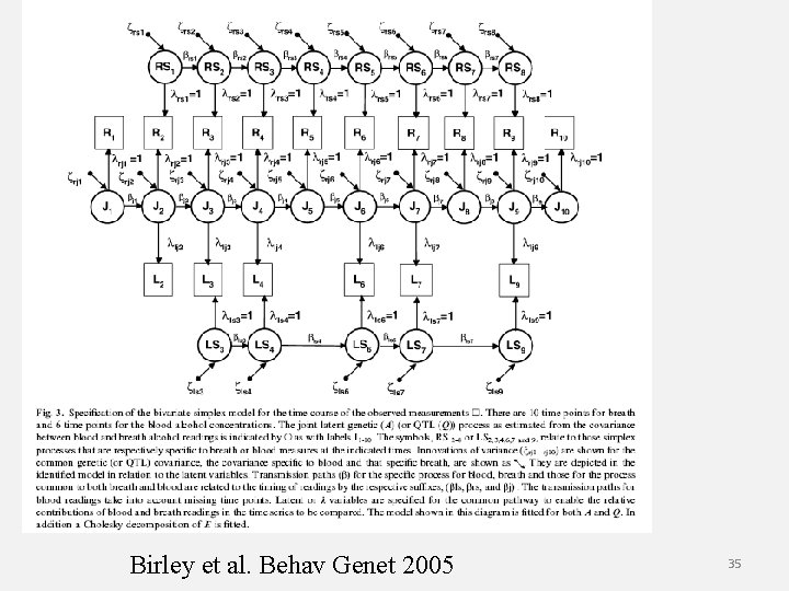 Birley et al. Behav Genet 2005 35 