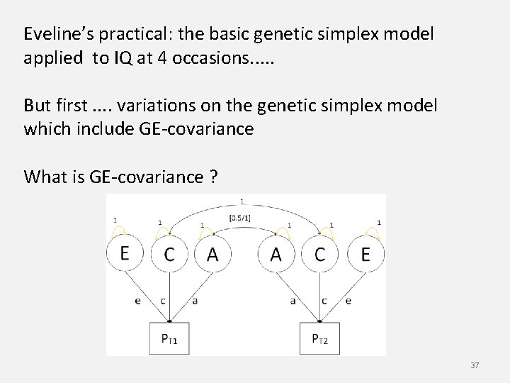Eveline’s practical: the basic genetic simplex model applied to IQ at 4 occasions. .