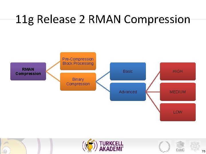 11 g Release 2 RMAN Compression Pre-Compression Block Processing RMAN Compression Basic HIGH Advanced