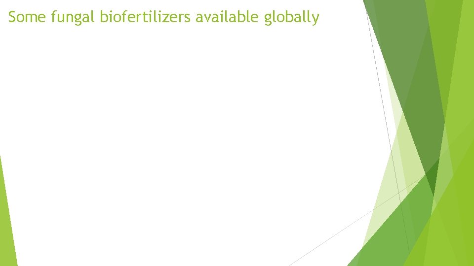 Some fungal biofertilizers available globally 