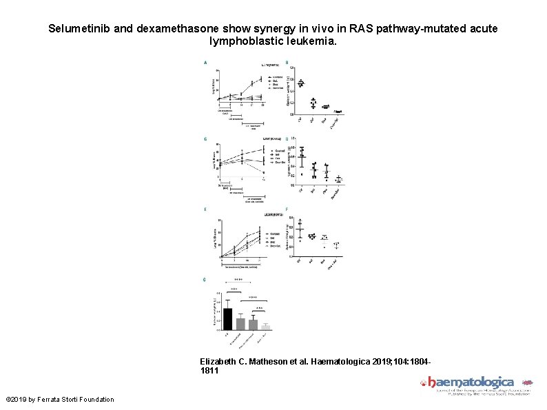 Selumetinib and dexamethasone show synergy in vivo in RAS pathway-mutated acute lymphoblastic leukemia. Elizabeth