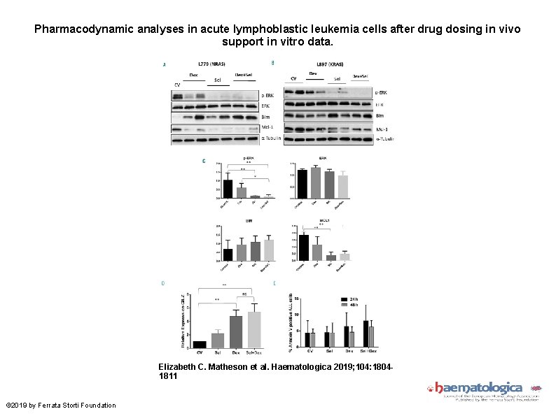 Pharmacodynamic analyses in acute lymphoblastic leukemia cells after drug dosing in vivo support in