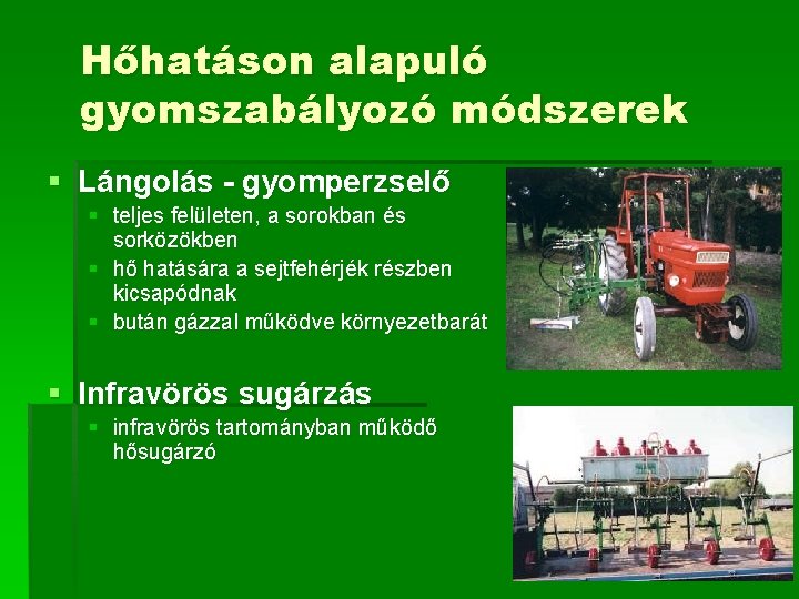 Hőhatáson alapuló gyomszabályozó módszerek § Lángolás - gyomperzselő § teljes felületen, a sorokban és