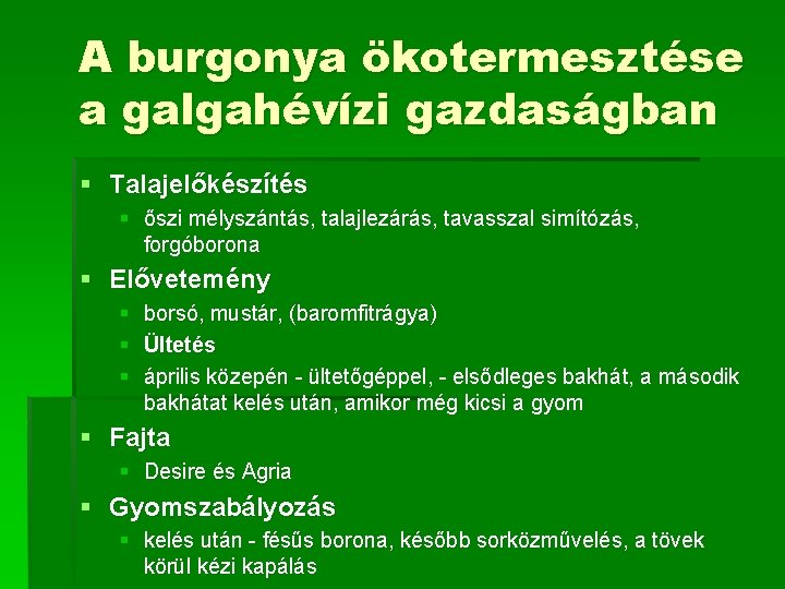 A burgonya ökotermesztése a galgahévízi gazdaságban § Talajelőkészítés § őszi mélyszántás, talajlezárás, tavasszal simítózás,